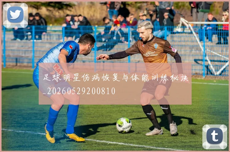 足球明星伤病恢复与体能训练秘诀_20260529200810